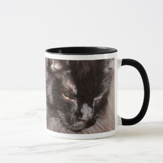 MAINE COON MUG