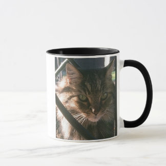 Maine Coon (mug) Mug