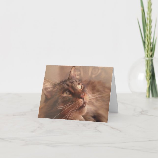 Maine Coon Note Card (Front)