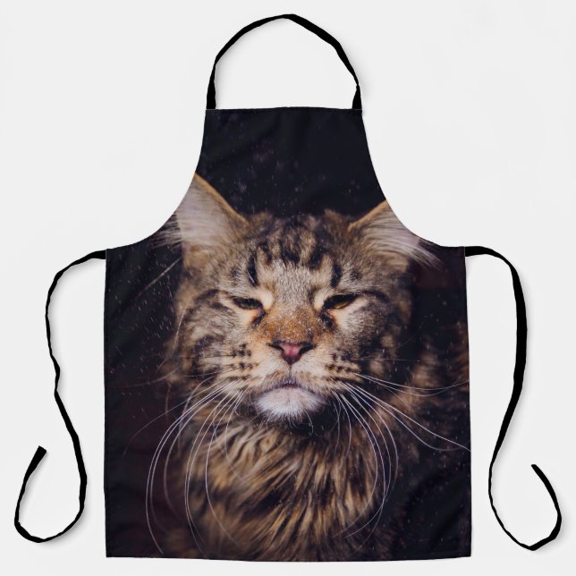maine coon on a black background younganimal,cat,c apron (Front)