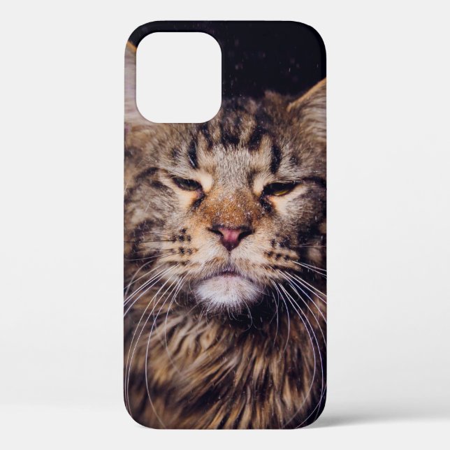 maine coon on a black background younganimal,cat,c Case-Mate iPhone case (Back)