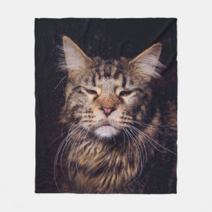 maine coon on a black background younganimal,cat,c fleece blanket