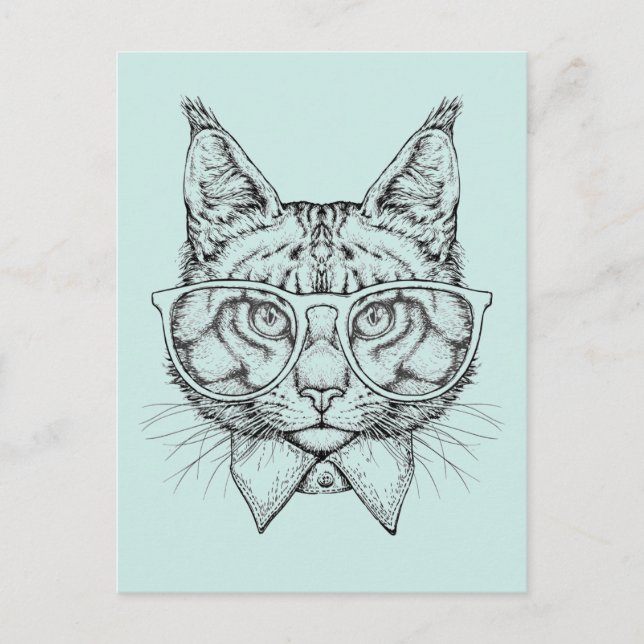Maine Coon Portrait Postcard (Front)