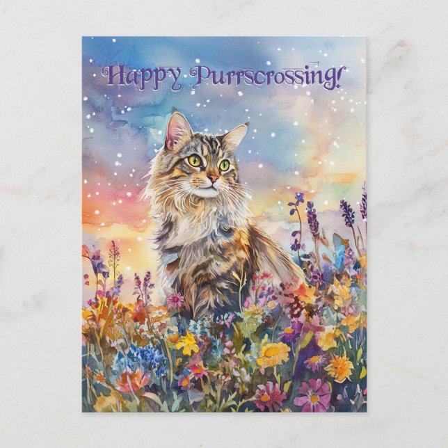 Maine Coon Postcrossing - Postcard (Front)