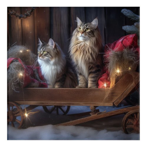 Maine Coon Snowy Sleigh Christmas Decor