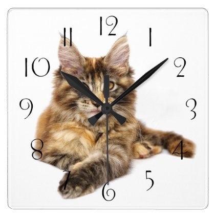 Maine Coon‎ Square Wall Clock