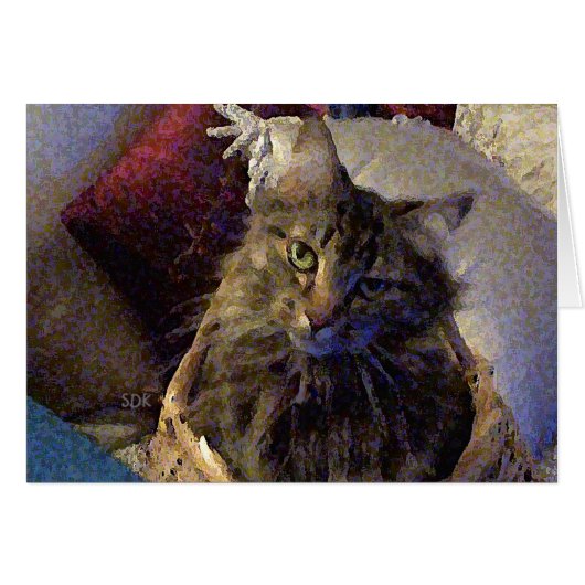 Maine Coon Tabby Cat Cards (Front Horizontal)