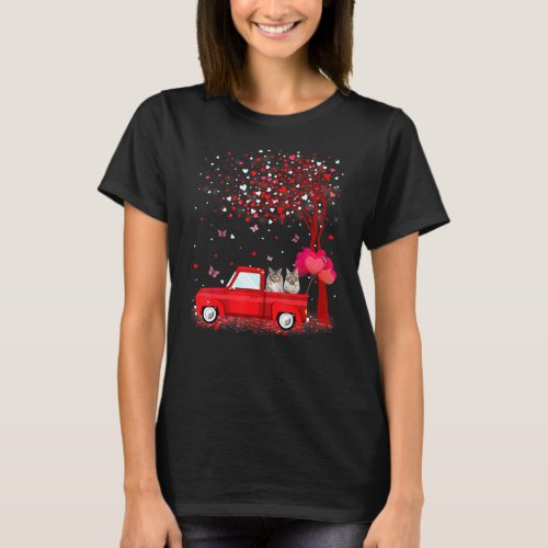 Maine Coon Valentines Day S Cats Red Truck Hearts T_Shirt