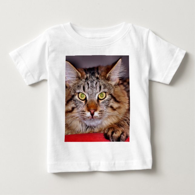 Maine-Coone Cat Baby T-Shirt (Front)