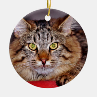 Maine-Coone Cat Ceramic Ornament