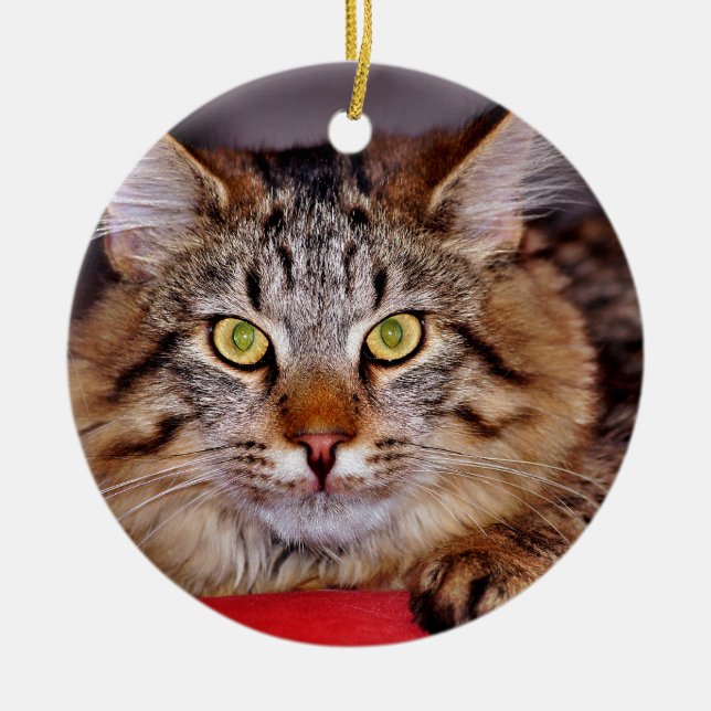 Maine-Coone Cat Ceramic Ornament (Front)