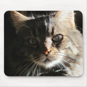 Maine Coon's Face Mouse Pad