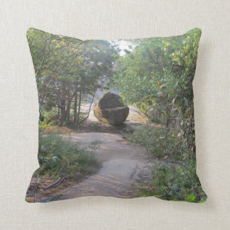 Maine "forest path" pillow