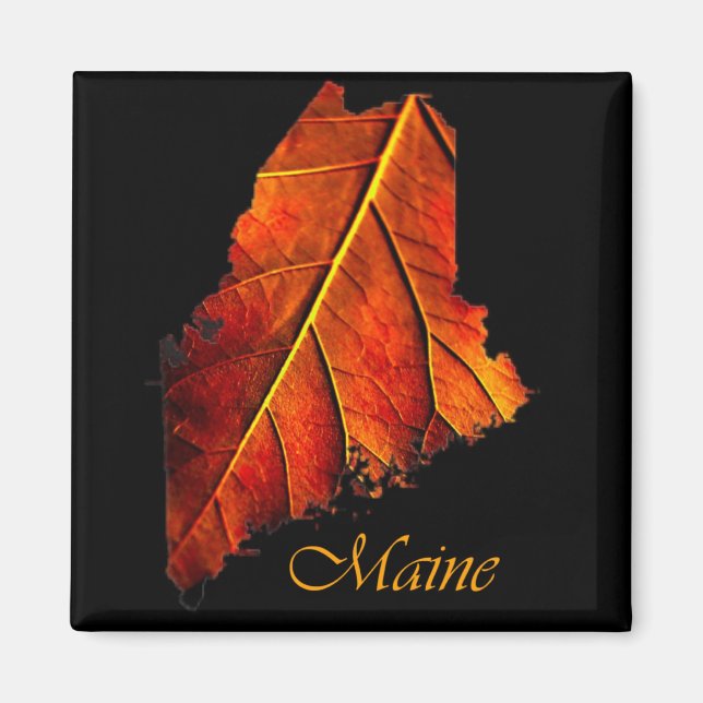 Maine Gift Magnet Souvenir (Front)