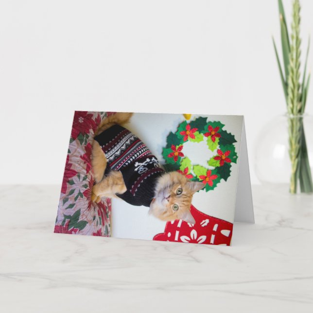 Maine Guy I Holiday Card (Front)