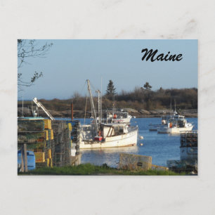 Maine Harbor Postcard