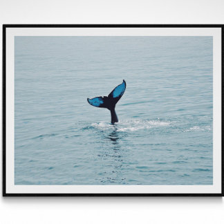Maine Humpback Whale Tail Poster