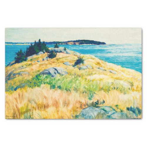 Maine islands by Newell Convers Wyeth Tissue Paper