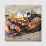 Maine Lobster Magnet