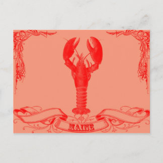 maine lobster postcard