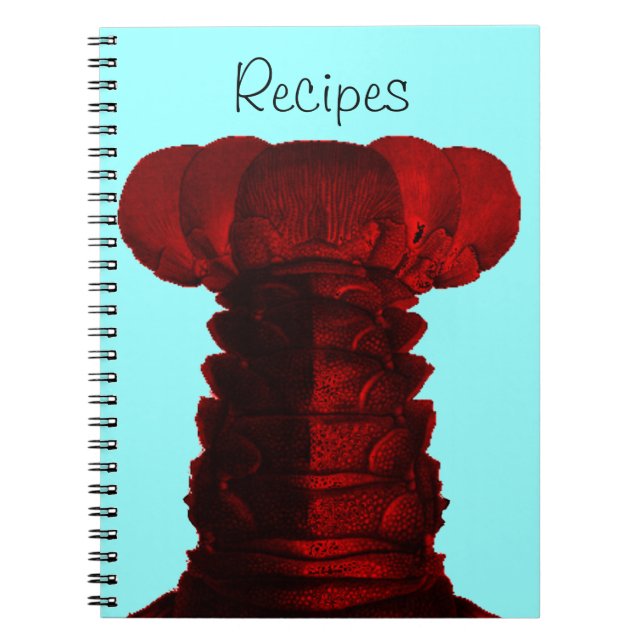 Maine Lobster Recipes Notebook (Front)