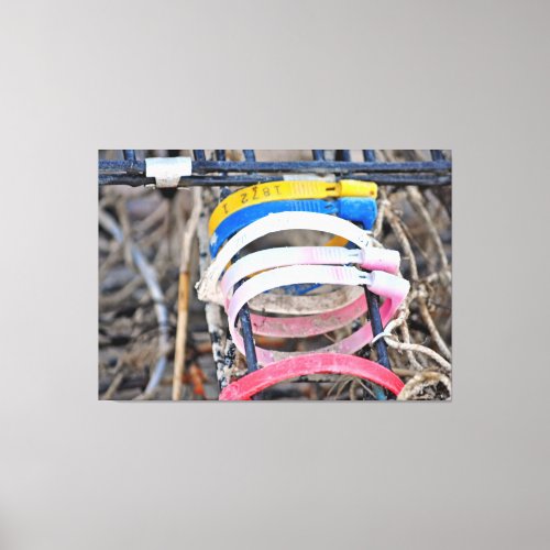 Maine Lobster Trap Tags Canvas Print