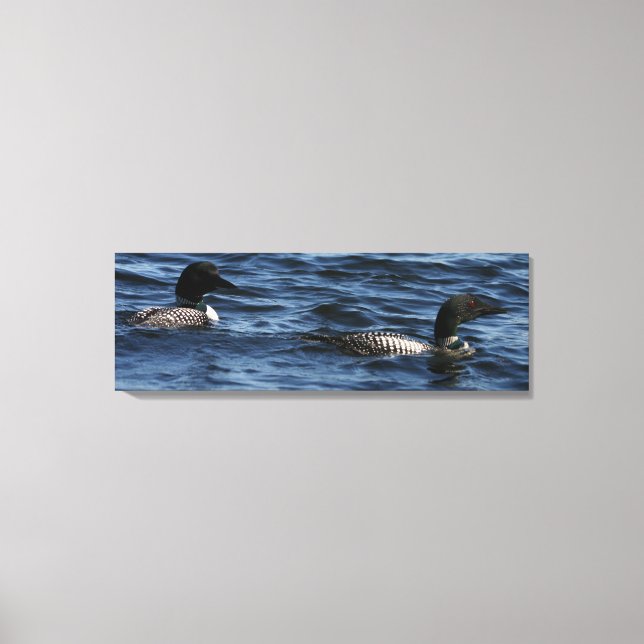 Maine Loons  Canvas Print (Front)