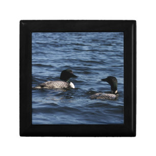 Maine Loons  Gift Box