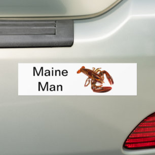 Maine Man Lobster Bumper Sticker