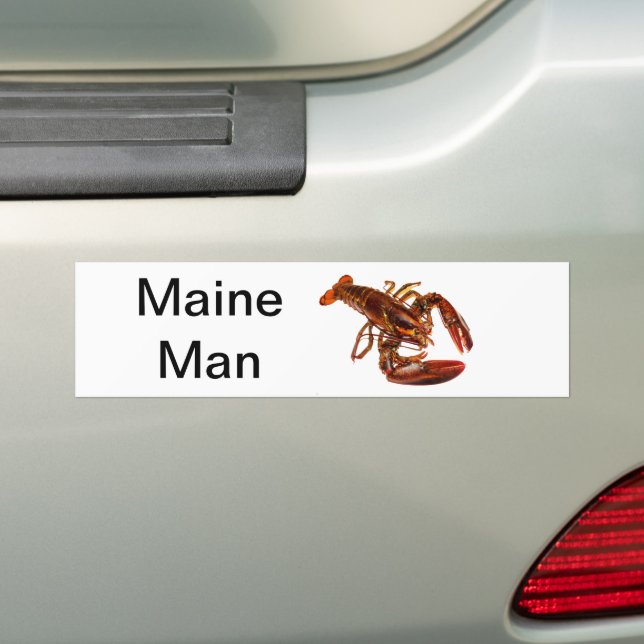 Maine Man Lobster Bumper Sticker (On Car)