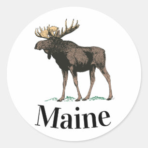 Maine Moose Classic Round Sticker