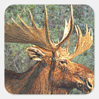 moose maine sticker square stickers