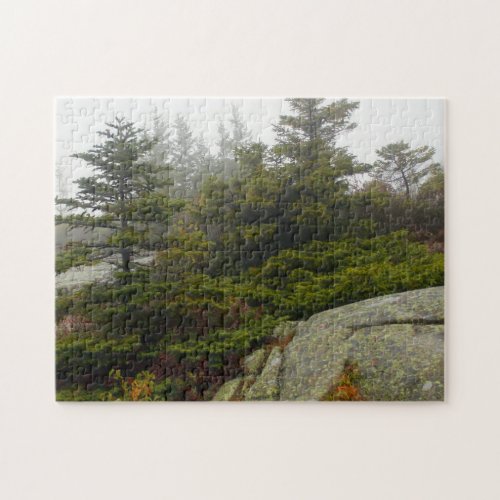 Maine Pine Boulders Acadia Photo Jigsaw Puzzle