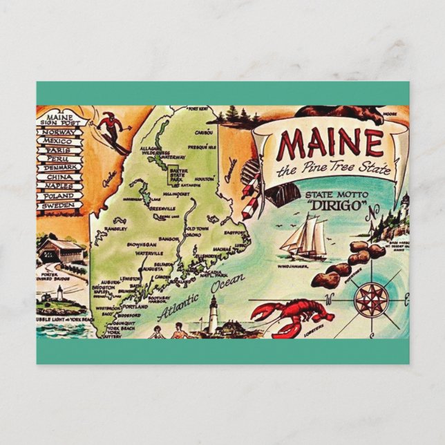 Maine - Pine Tree State Postcard (Front)