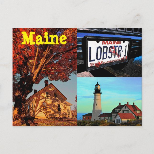 Maine Postcard (Front)