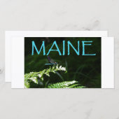 Maine Postcard of a Dragonfly (Front/Back)