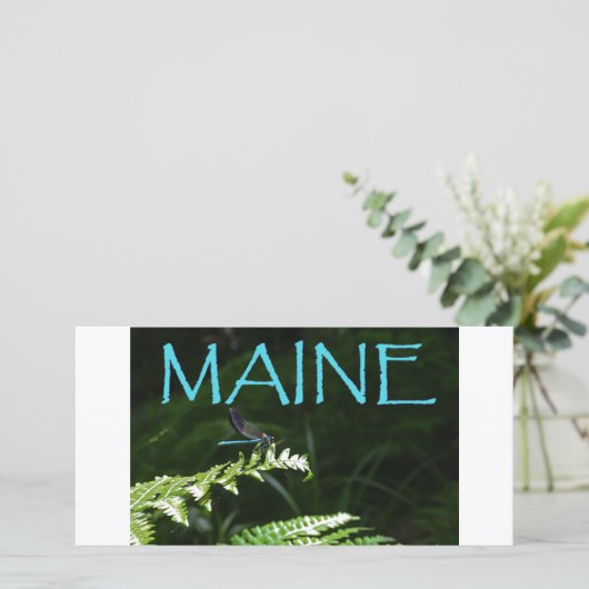 Maine Postcard of a Dragonfly (Standing Front)