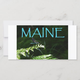 Maine Postcard of a Dragonfly
