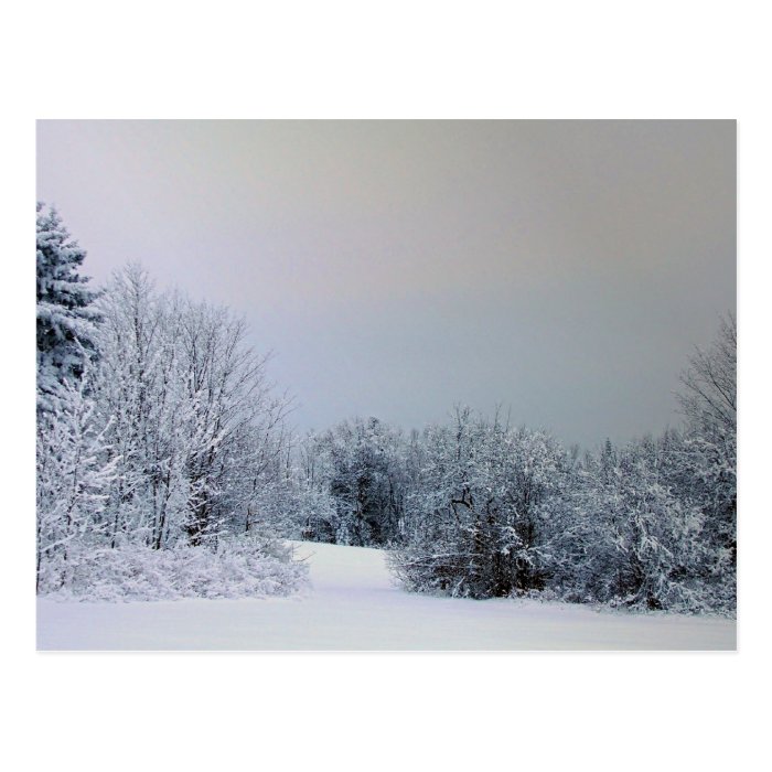 Maine Snow Country Post Cards
