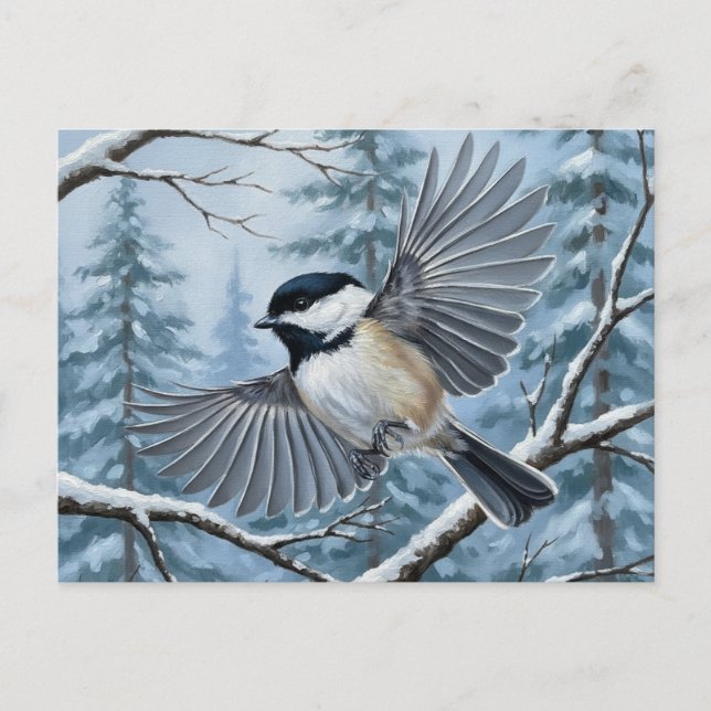 Maine State Bird Black-Capped Chickadee Postcard (Front)