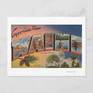 Maine (State Capital/Flower)Large Letter Postcard