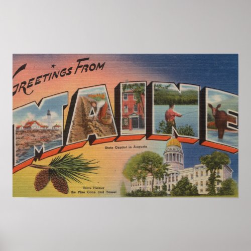 Maine State CapitalFlowerLarge Letter Poster