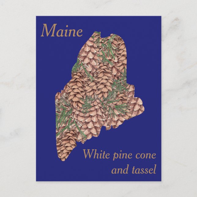 Maine State Flower Collage Map Postcard (Front)