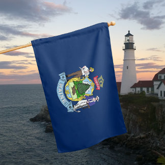Maine State House Flag