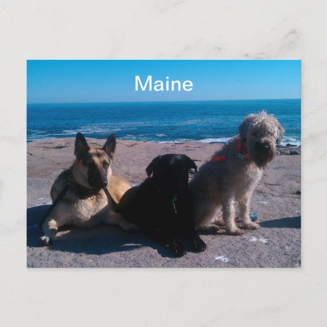 Maine Vacation Postcard (Front)