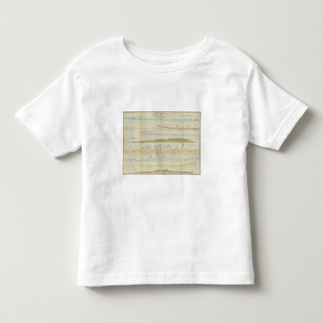 Maine vertical sections toddler t-shirt (Front)