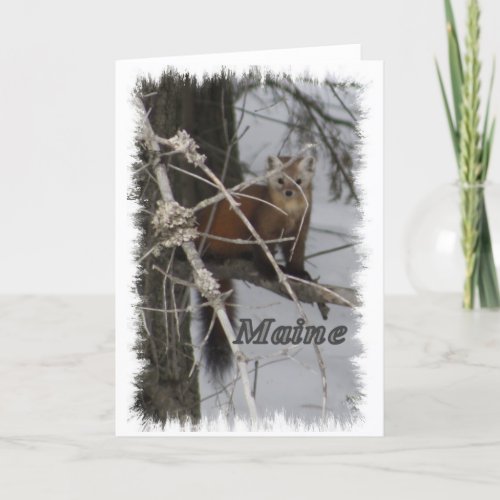 Maine Wildlife _ Pine Marten Holiday Card