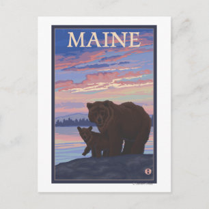 MaineBear and Cub Postcard