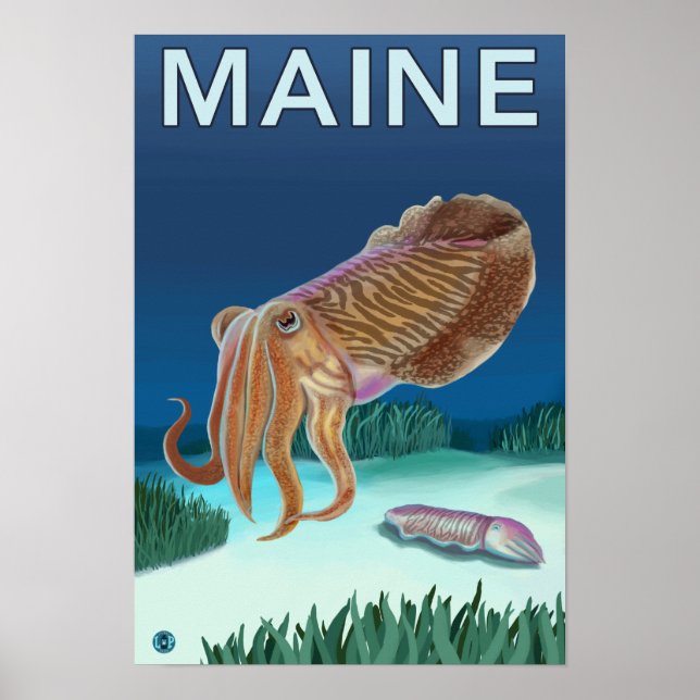 MaineCuttlefish Scene Poster (Front)