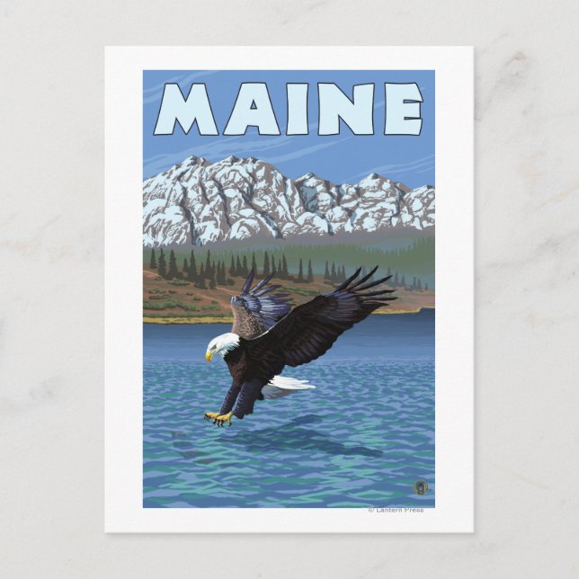 MaineEagle Fishing Postcard (Front)